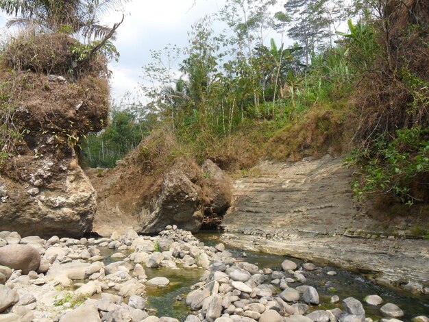 capas de roca sedimentaria en el río del terreno