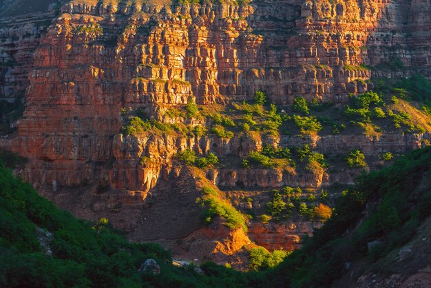 Capas de rocas antiguas en el cañón