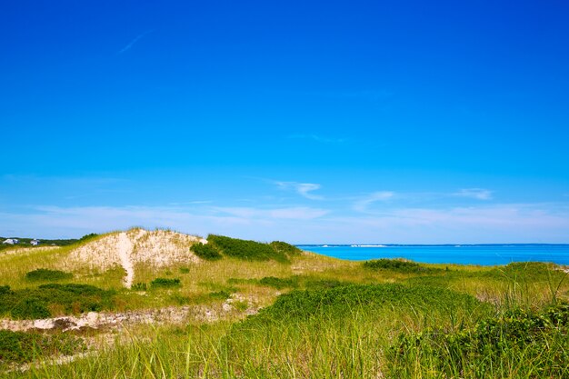 Cape Cod Sandy Neck Beach Massachusetts Estados Unidos