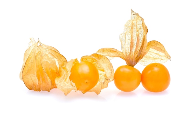 Cape gooseberry em fundo branco
