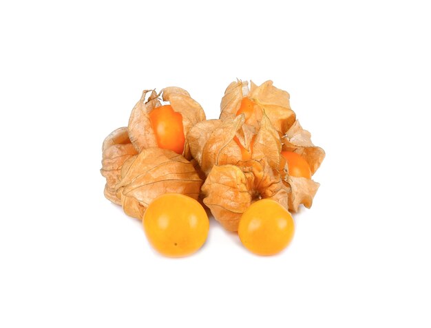 Cape Gooseberry em um branco