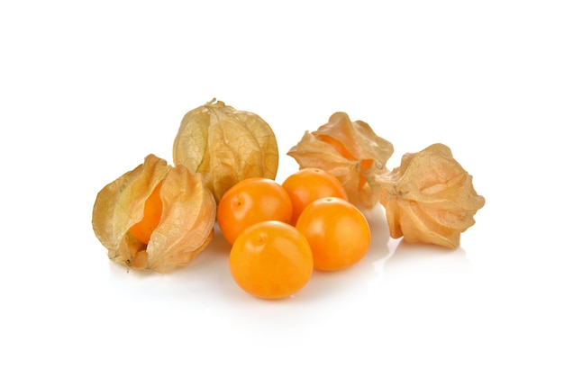 Cape Gooseberry en pared blanca