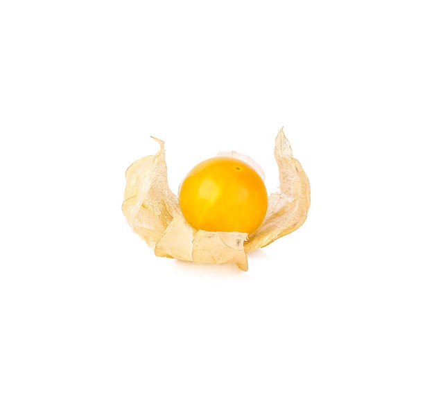 Cape gooseberry (physalis) isolado no branco