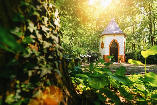capela escondida na floresta