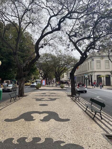 La capital de la isla de Madeira es Funchal con estilo moderno hermoso