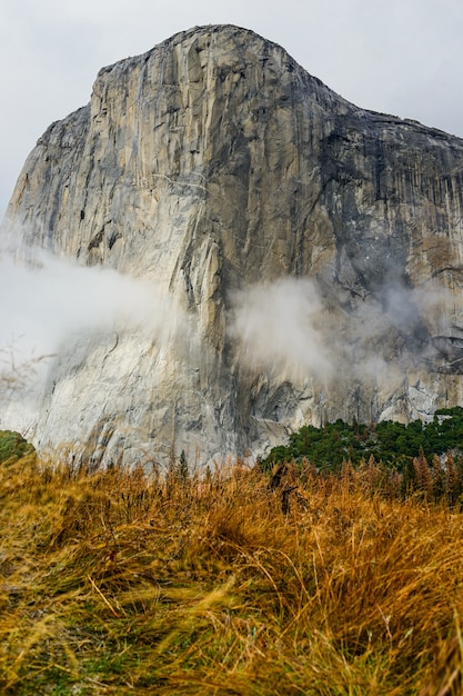 El Capitan Prado con hierba alta y amarilla