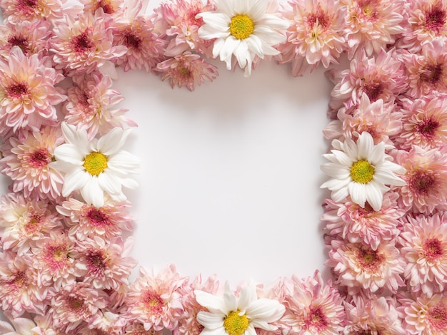 Capítulo hecho de flores rosadas y blancas en el fondo blanco