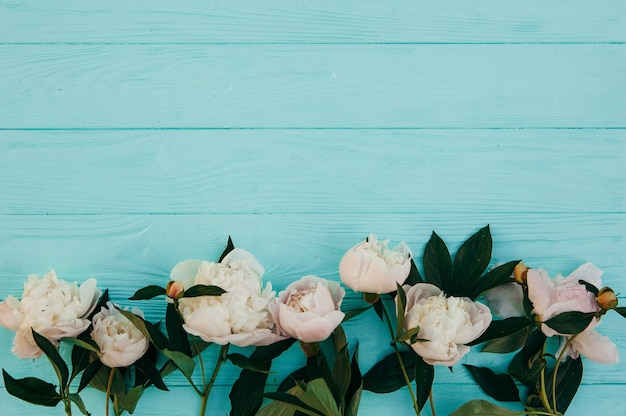 Capítulo hecho de las flores rosadas de la rosa en fondo de madera azul.