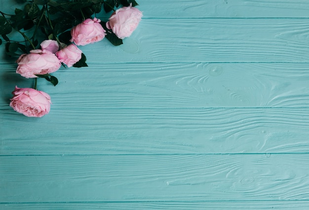 Capítulo hecho de las flores rosadas de la rosa en fondo de madera azul.