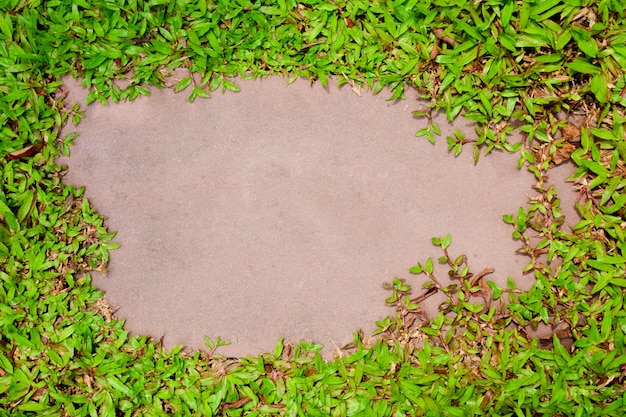 Capítulo de la hierba verde en la piedra arenisca roja pálida en el parque