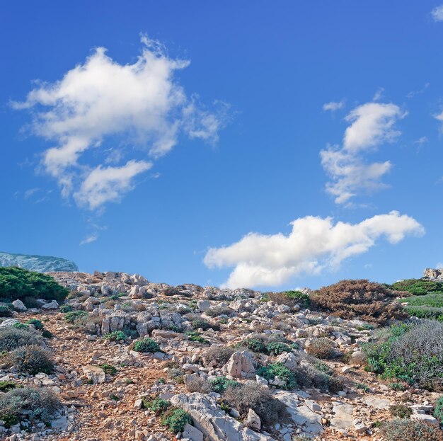 Capo Caccia paisagem com pedras brancas