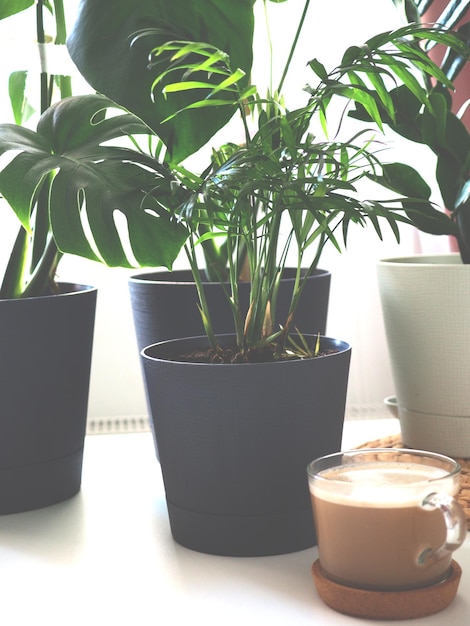 Foto cappuccino-kaffee auf einem mit monstera-blättern dekorierten holztisch