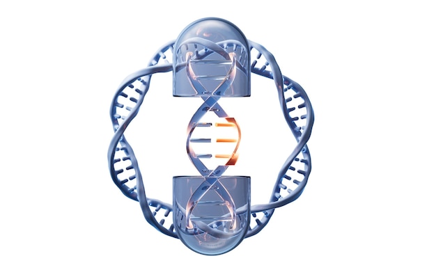 Foto capsula médica con adn dentro de la representación en 3d