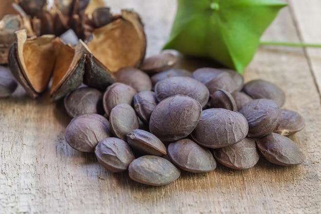 cápsula seca semillas de fruta de maní Sacha Inchi en madera