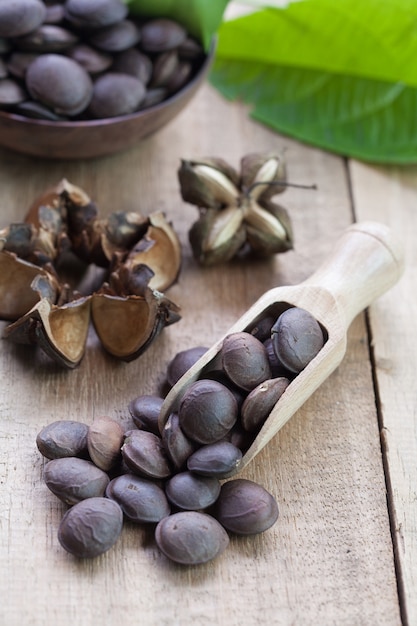 cápsula seca semillas de fruta de maní Sacha Inchi en madera