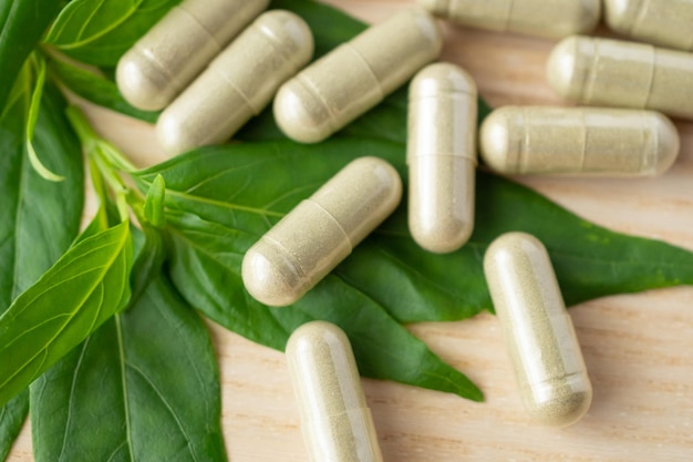 Cápsulas de hierbas medicinales con hoja de Andrographis paniculata sobre mesa de madera