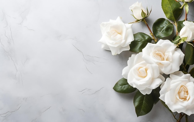 Captura aérea de rosas blancas de jardín en plena floración IA generativa