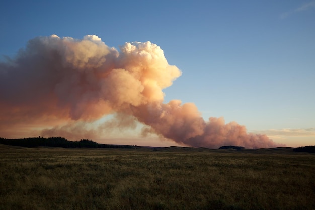 Captura aproximada de fumaça de incêndio florestal