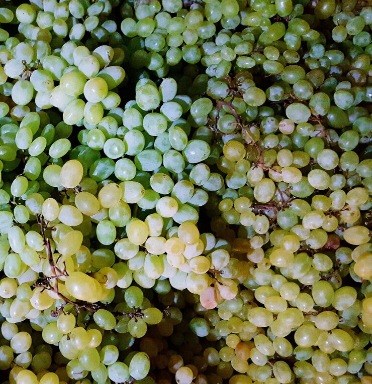 Foto captura completa de uvas para la venta en el mercado
