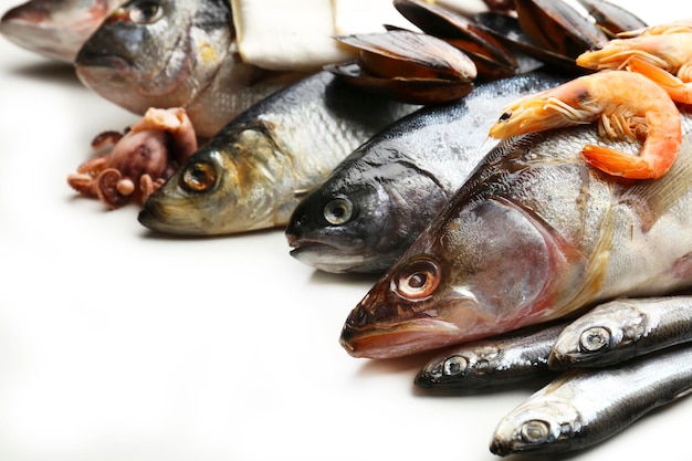 Captura fresca de pescado y otros mariscos de cerca