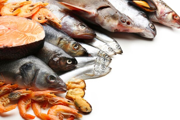 Foto captura fresca de pescado y otros mariscos de cerca