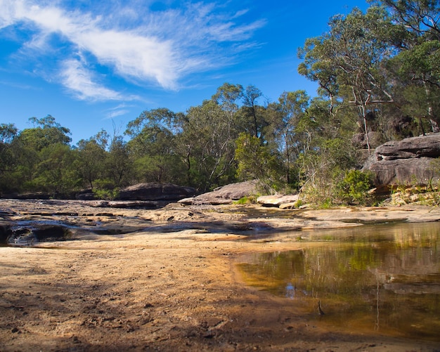 Captura de pantalla de cascadas de agua en el Parque Nacional Garigal cerca de Sydney Australia