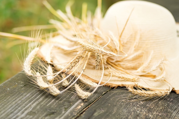 Captura recortada de un sombrero en pradera de trigo