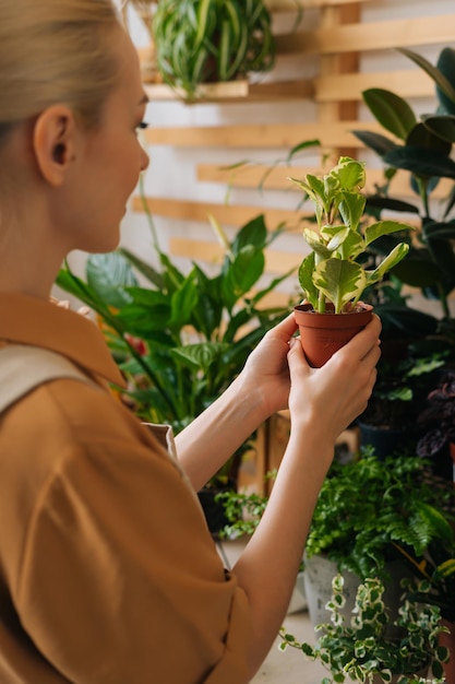 Captura vertical aproximada da florista feminina no avental colocando vasos com plantas verdes nas prateleiras da loja de flores Conceito de pequena empresa floral