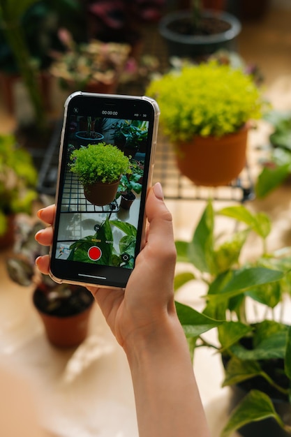 Captura vertical aproximada de uma blogueira irreconhecível tirando fotos de plantas na loja de flores usando a câmera do smartphone