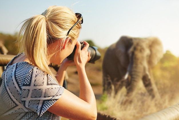 Capturando a vida selvagem Foto recortada de uma turista tirando fotos de elefantes durante o safári