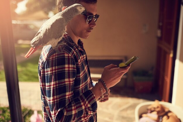 Foto capullos de una pluma se juntan toma de un joven usando su teléfono con su loro mascota posado en su hombro