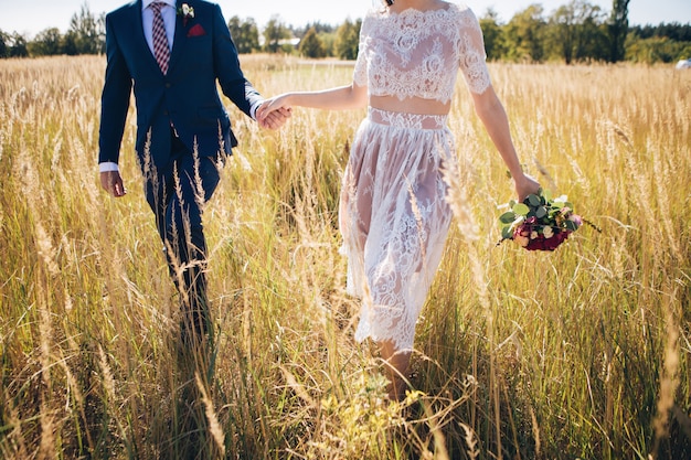 Cara jovem e garota segurando as mãos ao ar livre na luz do sol. A noiva e o noivo vão de mãos dadas. Um casal apaixonado caminha pelo campo. o noivo em um terno escuro.