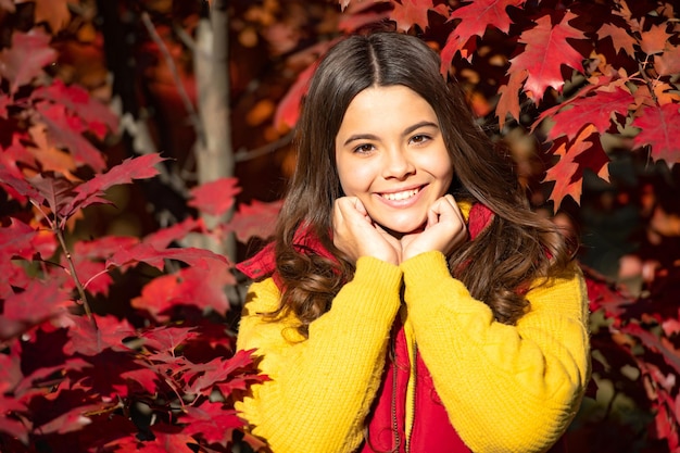 Cara de niño alegre de pie en hermosas hojas de otoño