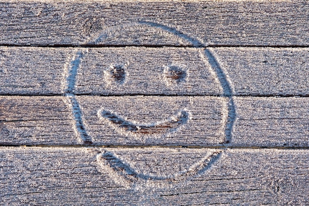 Cara sonriente dibujada a mano en el banco congelado del parque