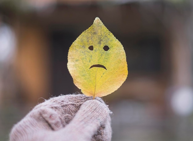 Cara triste de la hoja de otoño en una mano