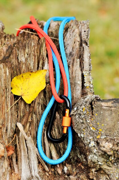 Carabina de metal y cuerda para alpinismo Foto de carabinas de colores y cuerda Concepto de escalada