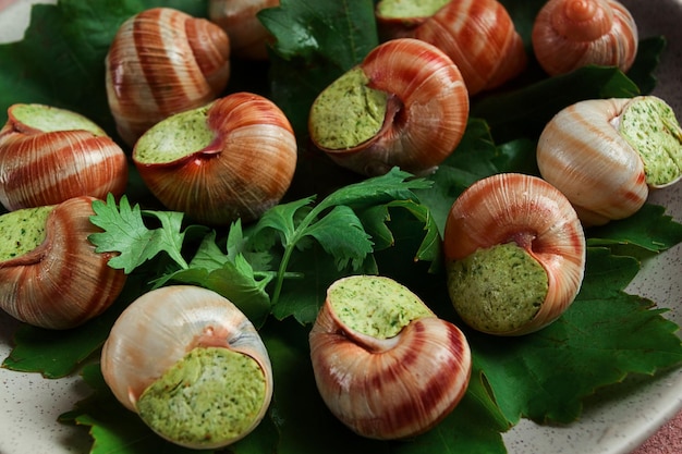 caracóis de uva recheados em cozinha francesa de Borgonha