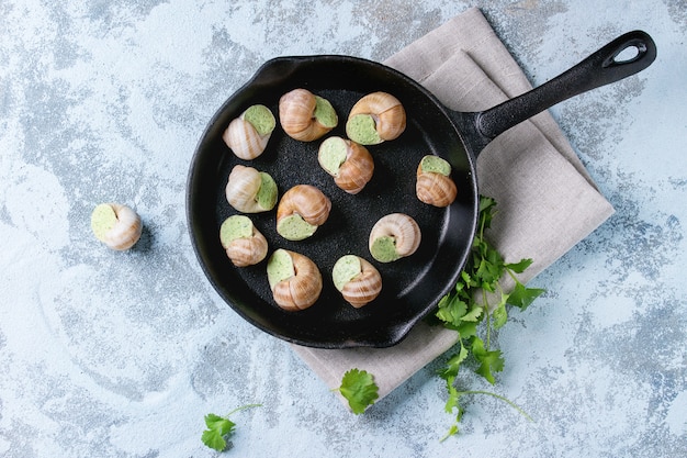 Caracóis não cozidos de Escargots de Bourgogne