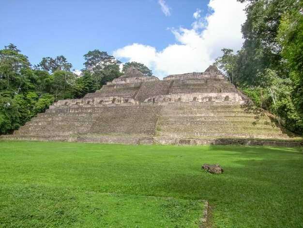 Foto caracol en belice