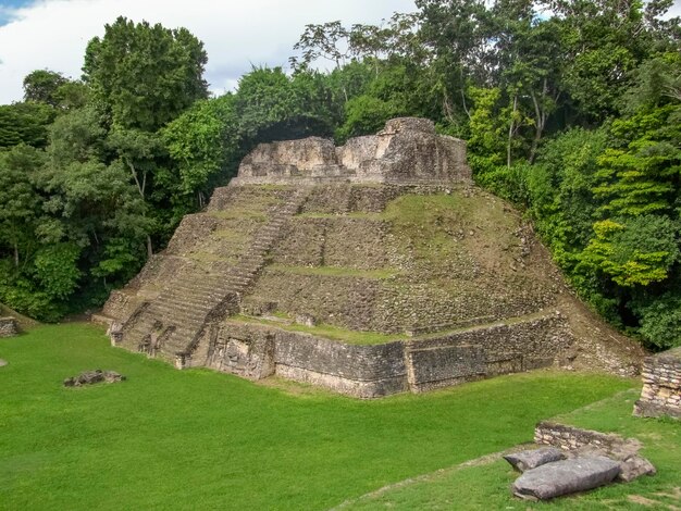 Foto caracol en belice