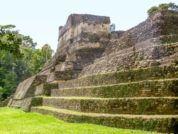 Caracol en Belice