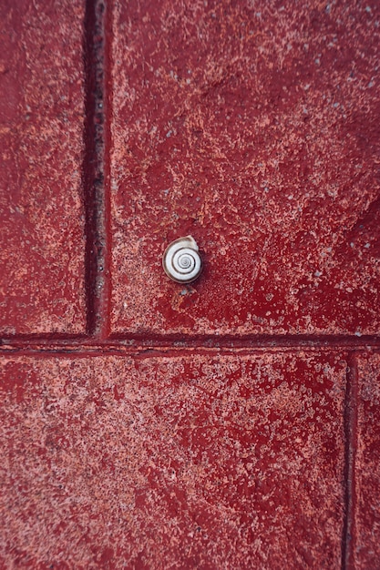 caracol blanco sobre el fondo rojo