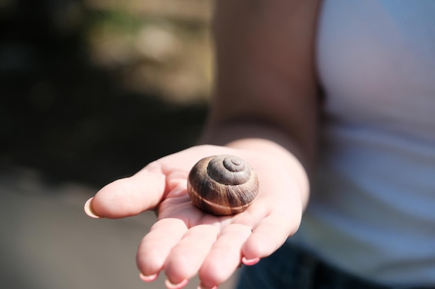 El caracol gatea en la mano Producto cosmético a base de mucina de caracol Rejuvenecimiento Caracoterapia Granja de caracoles ecológica