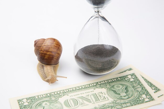 Foto caracol junto al reloj de arena y dólares sobre un fondo blanco.