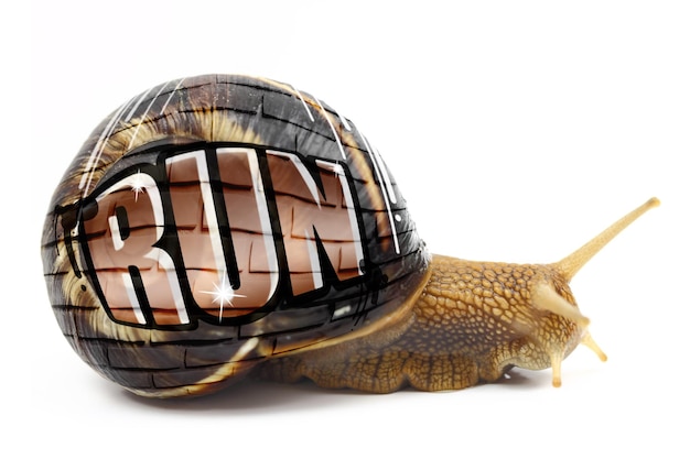 Caracol con texto Run escrito en su caparazón aislado