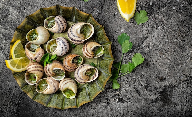 Caracoles al horno con salsa Bourgogne Escargot Snails Caracoles al horno con mantequilla y especias comida gourmet banner menú receta lugar para texto vista superior