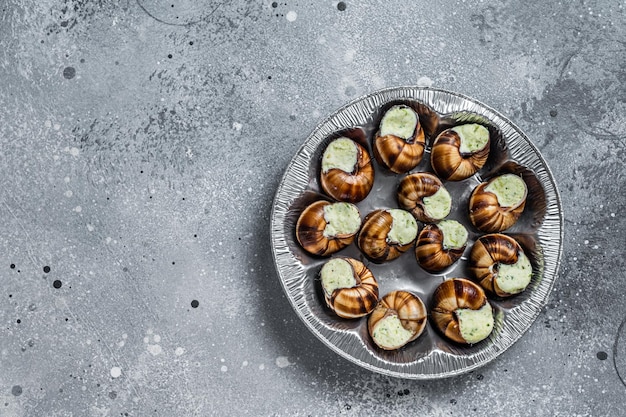 Caracoles de Caracol a la Borgoña con mantequilla de ajo. fondo gris. Vista superior. Copie el espacio.