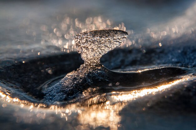 Carámbano en el hielo al atardecer