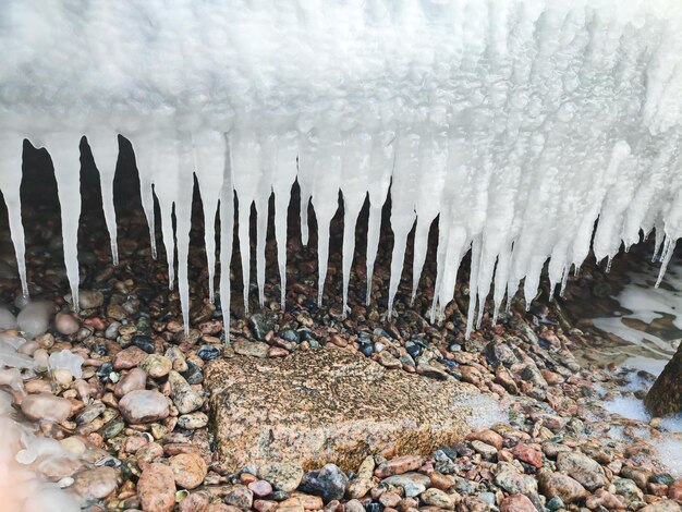 Carámbanos congelados de invierno colgando de una roca en la costa del mar