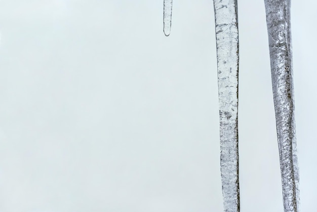 Carámbanos contra el cielo gris de invierno, foto detallada con espacio para texto a la izquierda